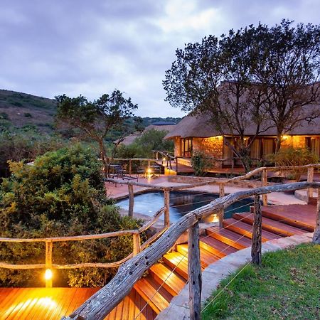 Lalibela Game Reserve Grahamstown Esterno foto