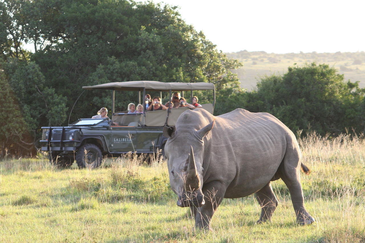 Lalibela Game Reserve Grahamstown Esterno foto