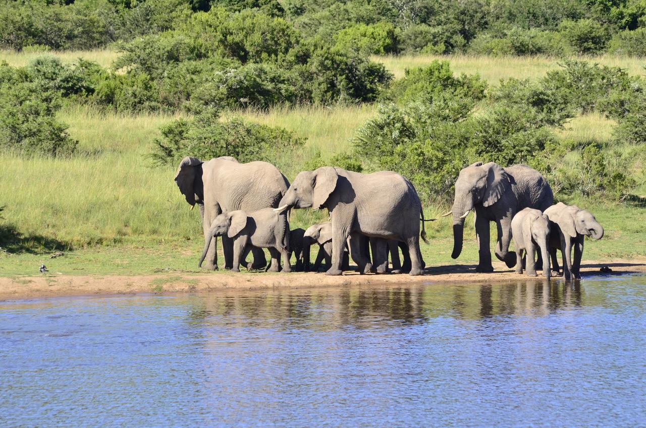 Lalibela Game Reserve Grahamstown Esterno foto
