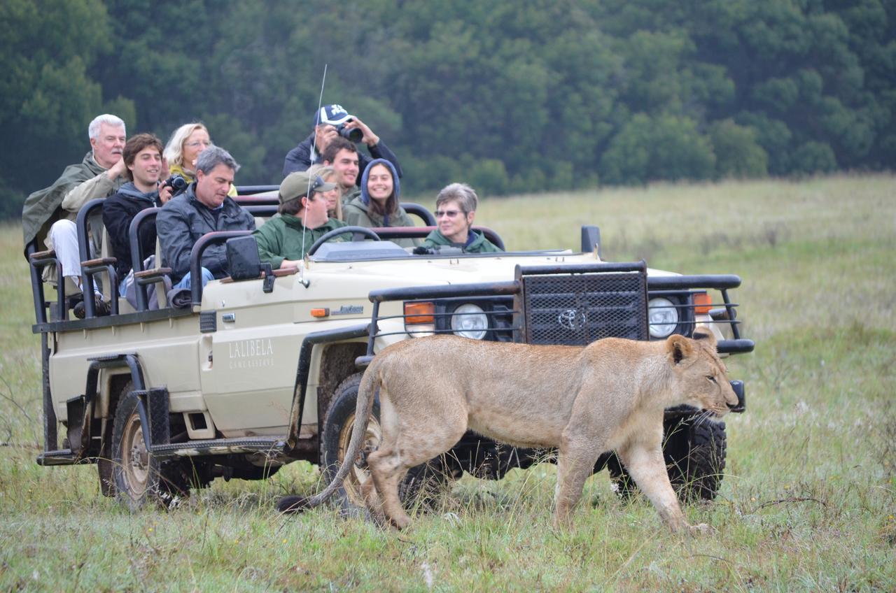 Lalibela Game Reserve Grahamstown Esterno foto