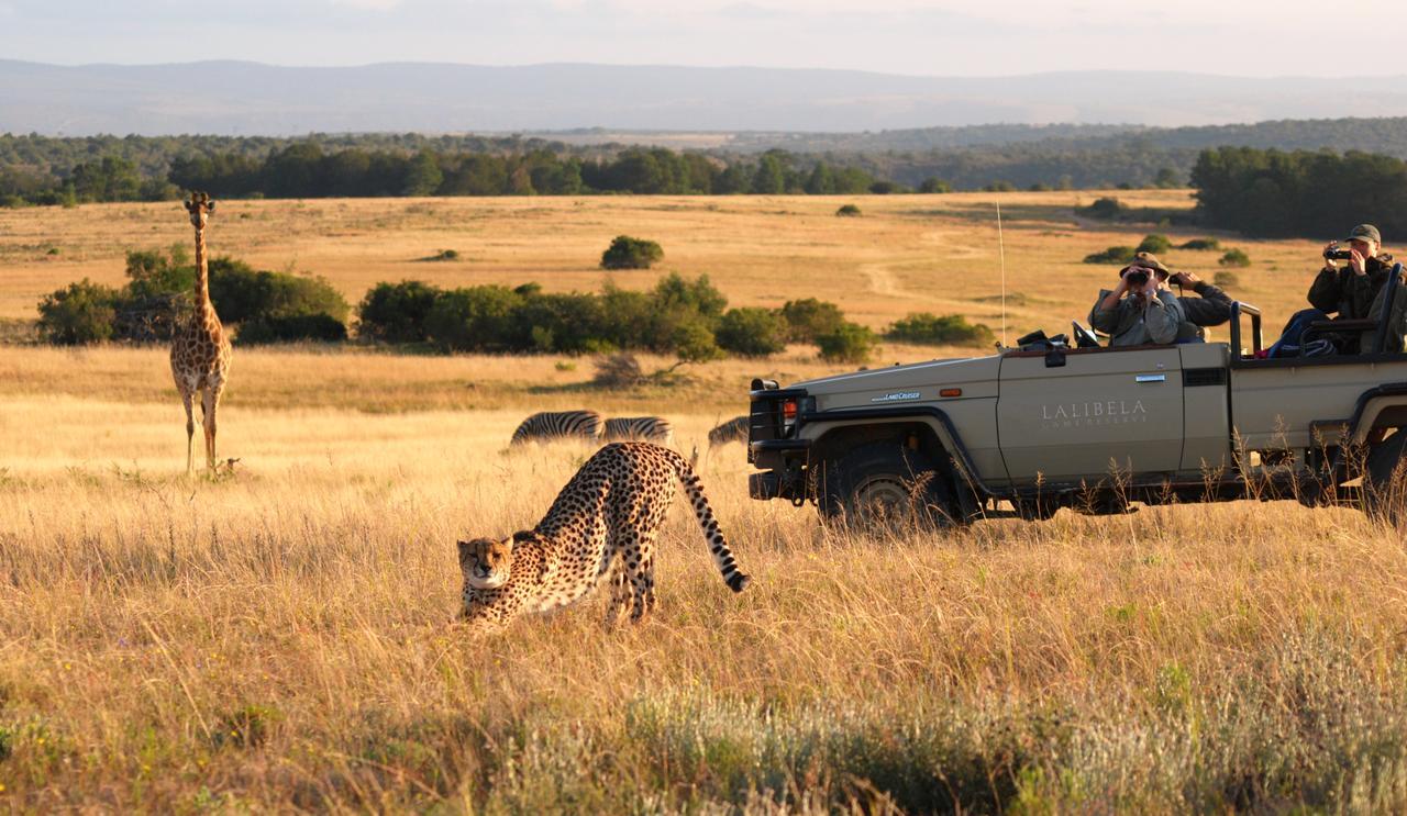 Lalibela Game Reserve Grahamstown Esterno foto