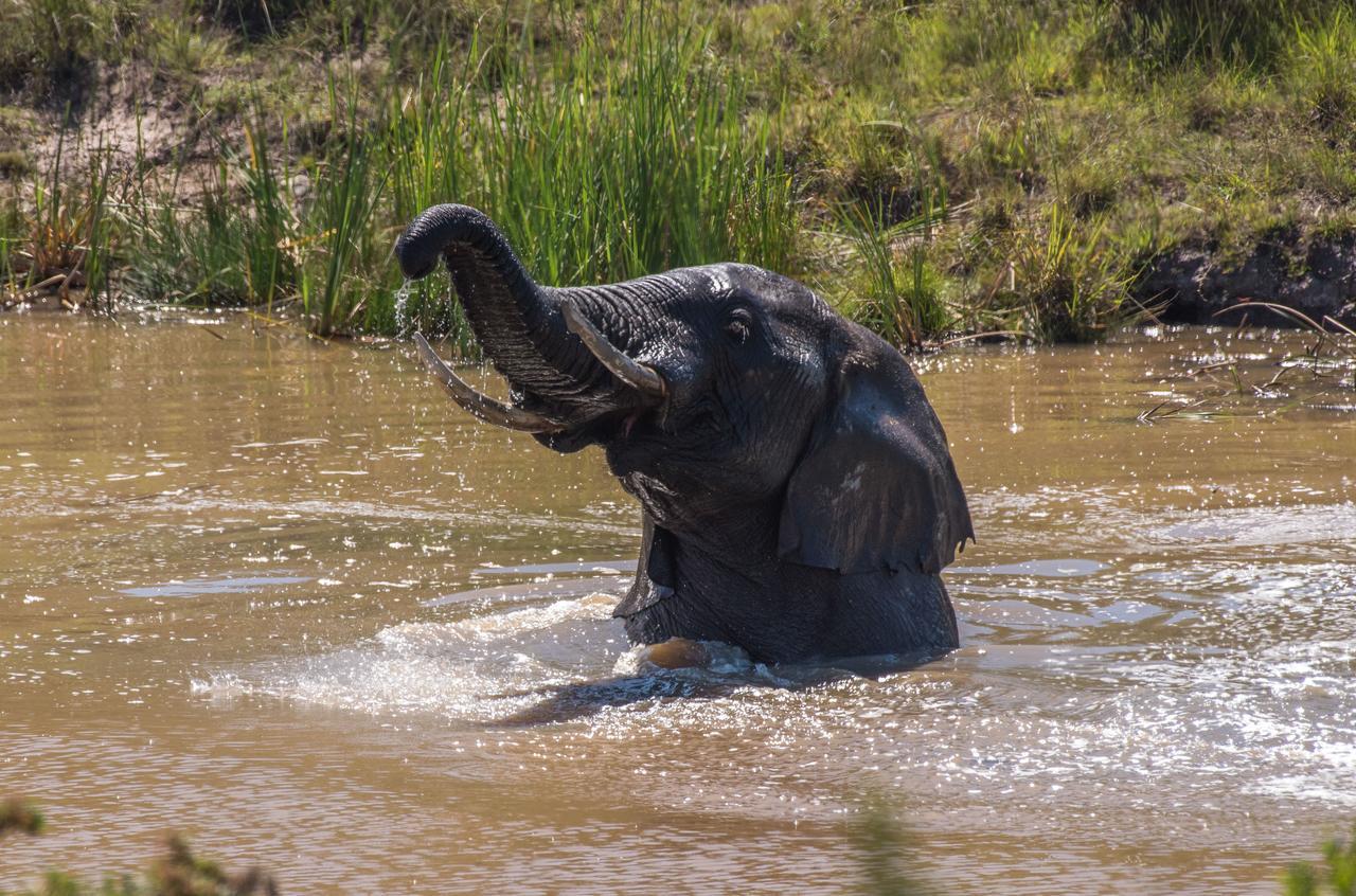 Lalibela Game Reserve Grahamstown Esterno foto