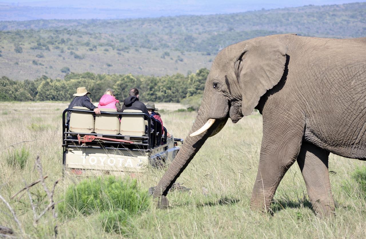 Lalibela Game Reserve Grahamstown Esterno foto
