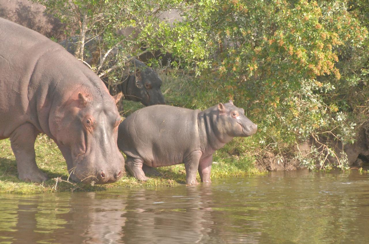 Lalibela Game Reserve Grahamstown Esterno foto