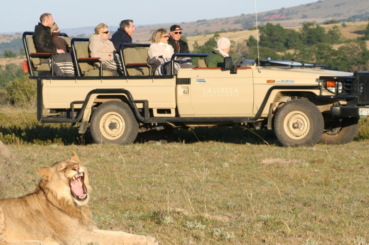 Lalibela Game Reserve Grahamstown Esterno foto